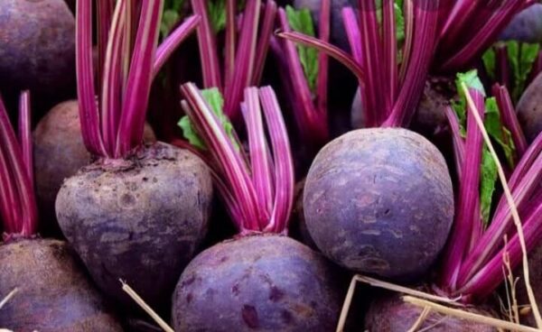 beetroot